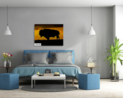 Big Daddy: King of the Badlands Buffalo Silhouette Wildlife Canvas Print Bison Photography Wall Art