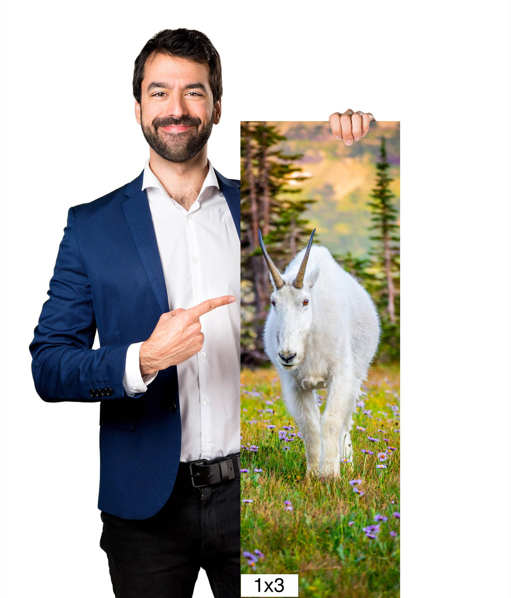 Alpine Majesty: Glacier Mountain Goat National Park Wildlife Photography Wall Art Home