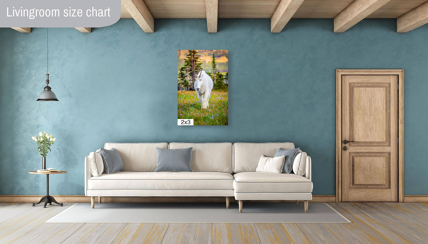 Alpine Majesty: Glacier Mountain Goat National Park Wildlife Photography Wall Art Home Decor