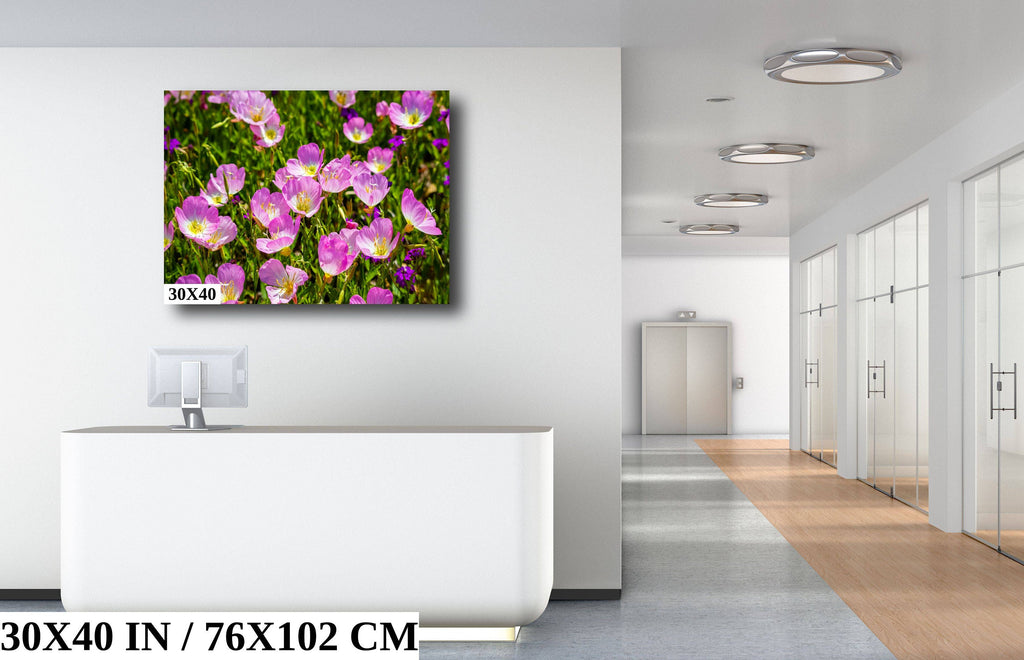 Petals of Sunshine: Field of Primrose February Birth Flower Photography Metal Canvas Art Print