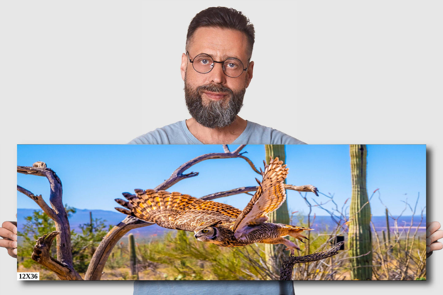 Superb Owl: Birds of Prey Wildlife Photography Nature Wall Art Sonoran Desert Owl Metal Canvas Print Arizona Landscape