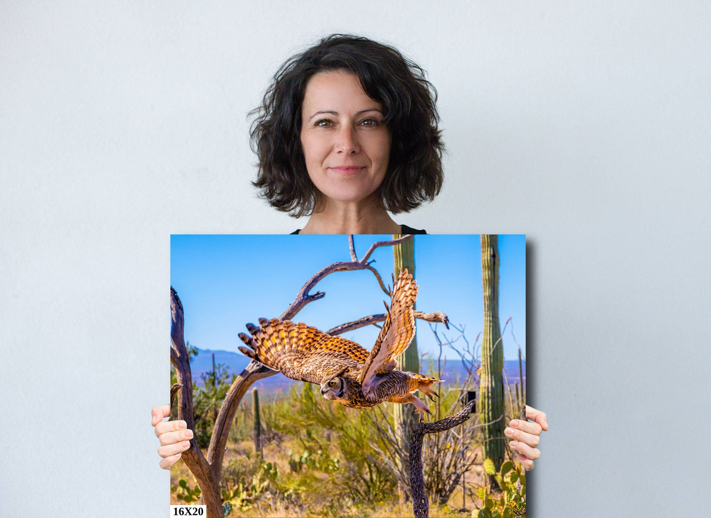 Superb Owl: Birds of Prey Wildlife Photography Nature Wall Art Sonoran Desert Owl Metal Canvas Print Arizona Landscape