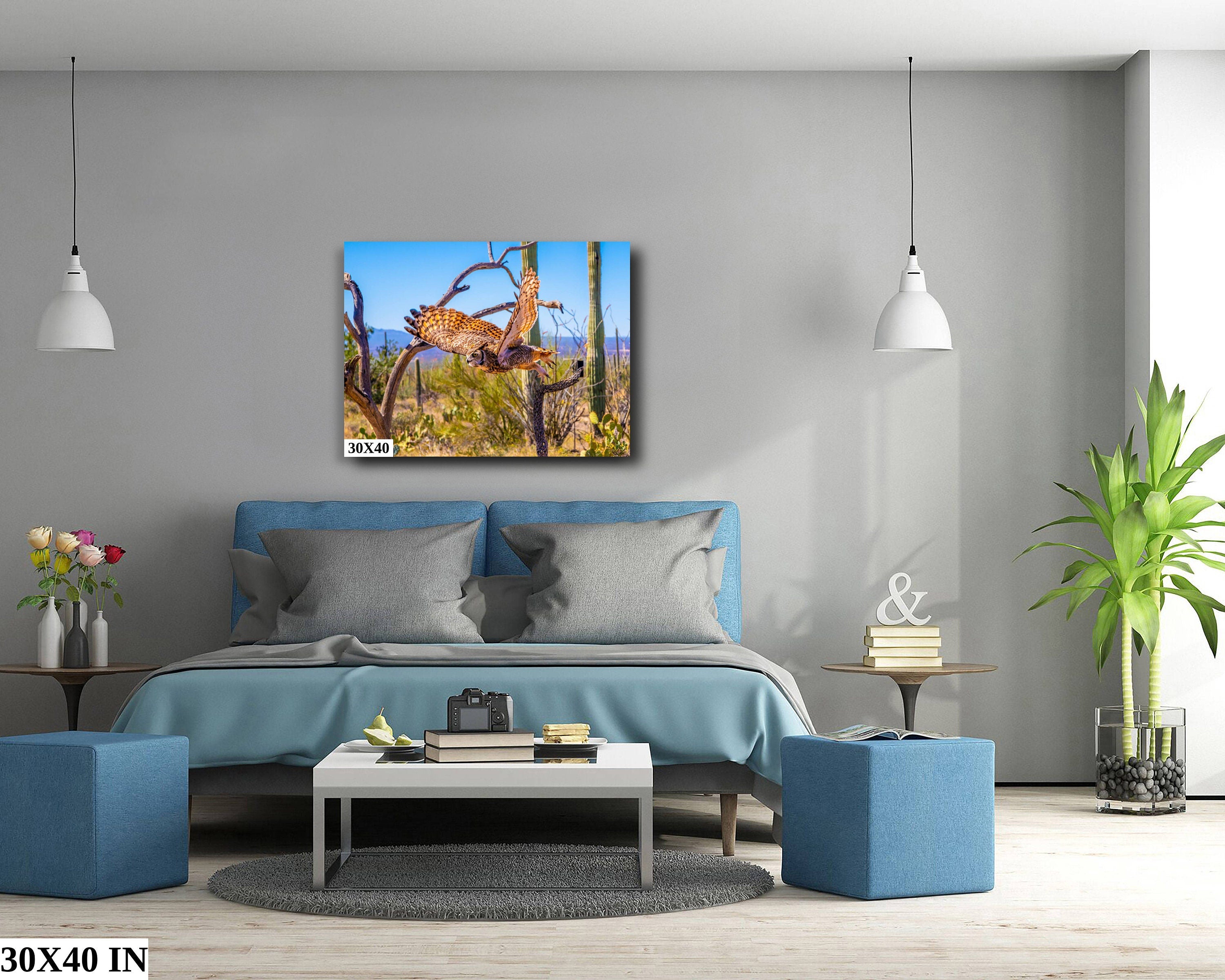 Superb Owl: Birds of Prey Wildlife Photography Nature Wall Art Sonoran Desert Owl Metal Canvas Print Arizona Landscape