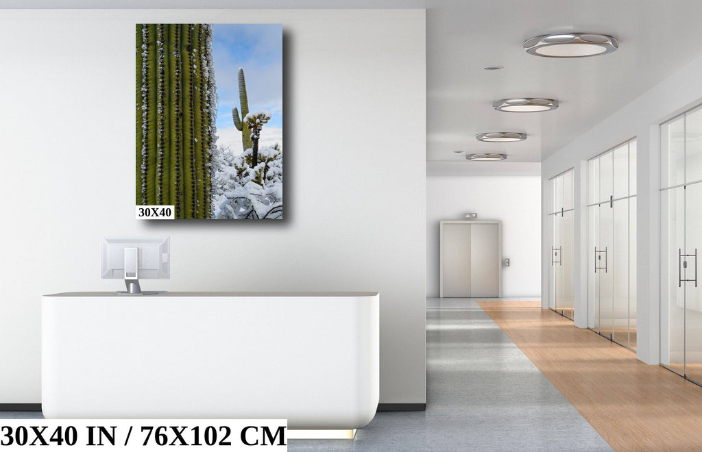 Frozen Giants: Snowfall on Saguaro National Park Cactus Winter Photography Home Wall Art