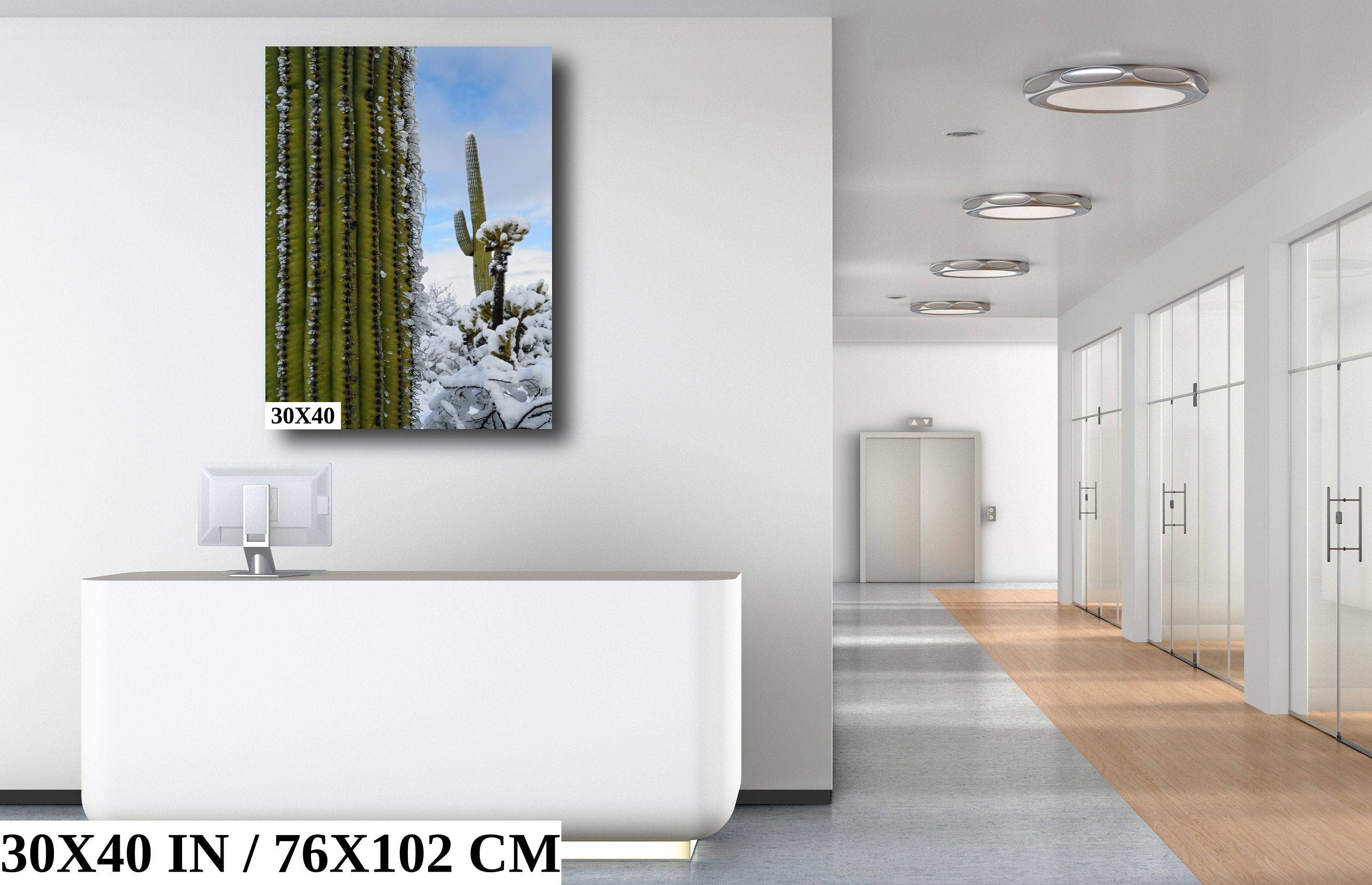 Frozen Giants: Snowfall on Saguaro National Park Cactus Winter Photography Home Wall Art