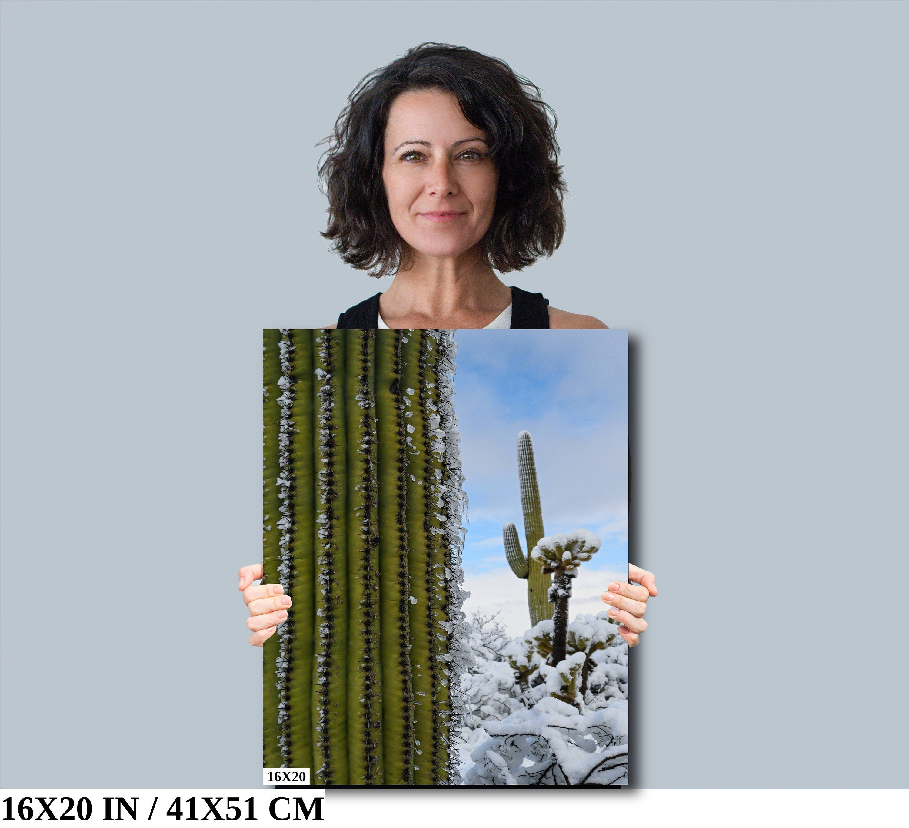 Frozen Giants: Snowfall on Saguaro National Park Cactus Winter Photography Home Wall Art
