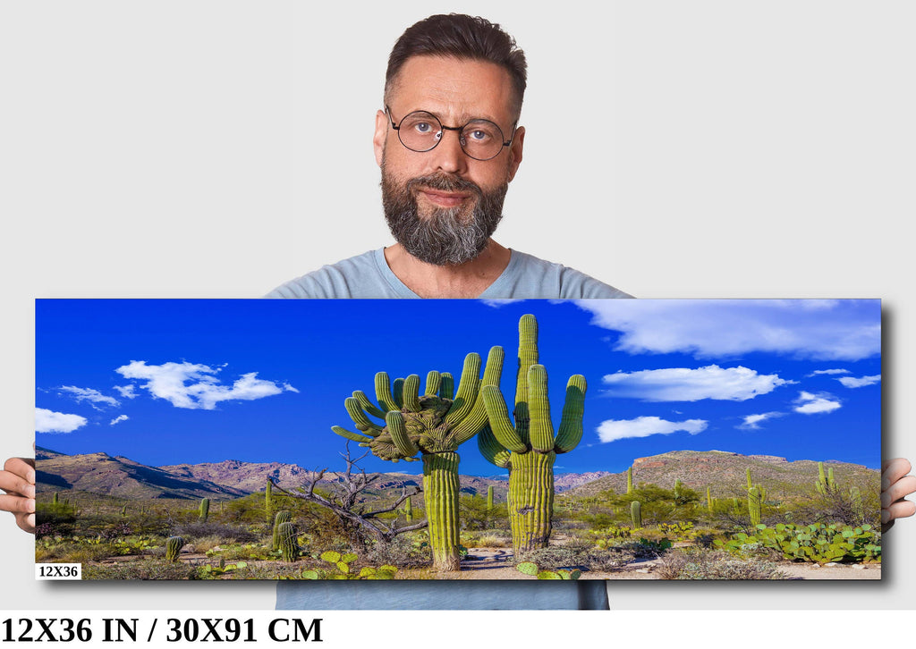 Crested Saguaro Cactus: Sabino Canyon Arizona Landscape Photography Wall Art