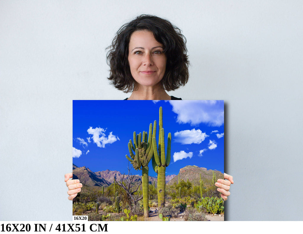 Crested Saguaro Cactus: Sabino Canyon Arizona Landscape Photography Wall Art