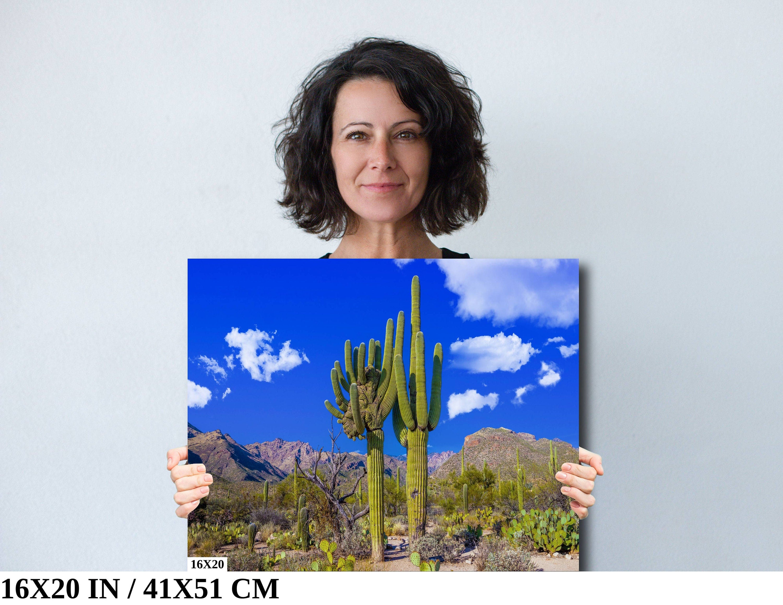 Crested Saguaro Cactus: Sabino Canyon Arizona Landscape Photography Wall Art