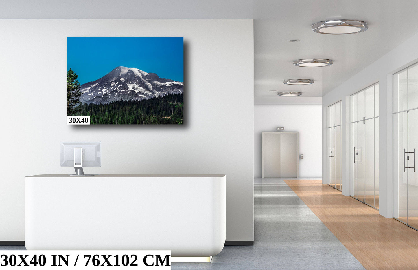 Peak Perfection: Mount Rainier Snowcapped Mountain Wall Art National Park
