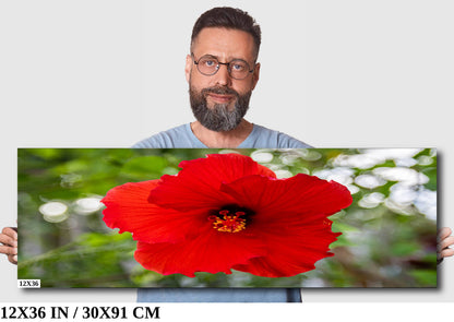 Ruby Blooms: Red Hawaiian Hibiscus Flower Photography Tropical Home Decor Wall Art Print