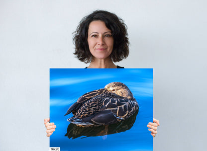 Dreaming Duck: Wall Art Nursery Home Minimalist Animal Bird Photography Duck Canvas Metal Print