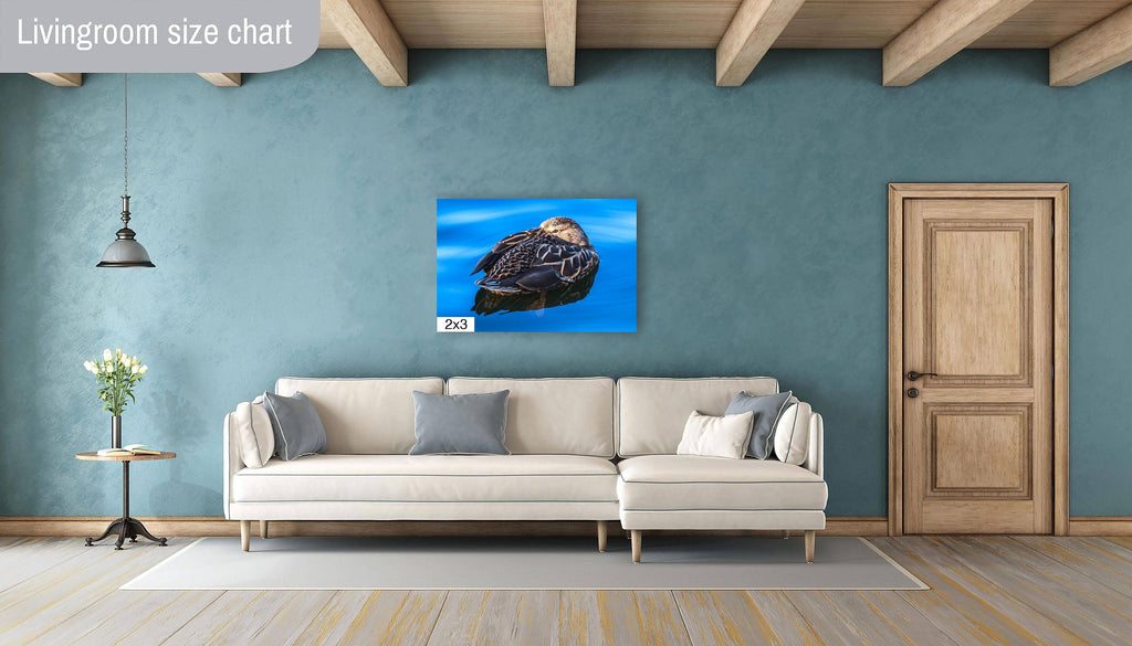 Dreaming Duck: Wall Art Nursery Home Minimalist Animal Bird Photography Duck Canvas Metal Print