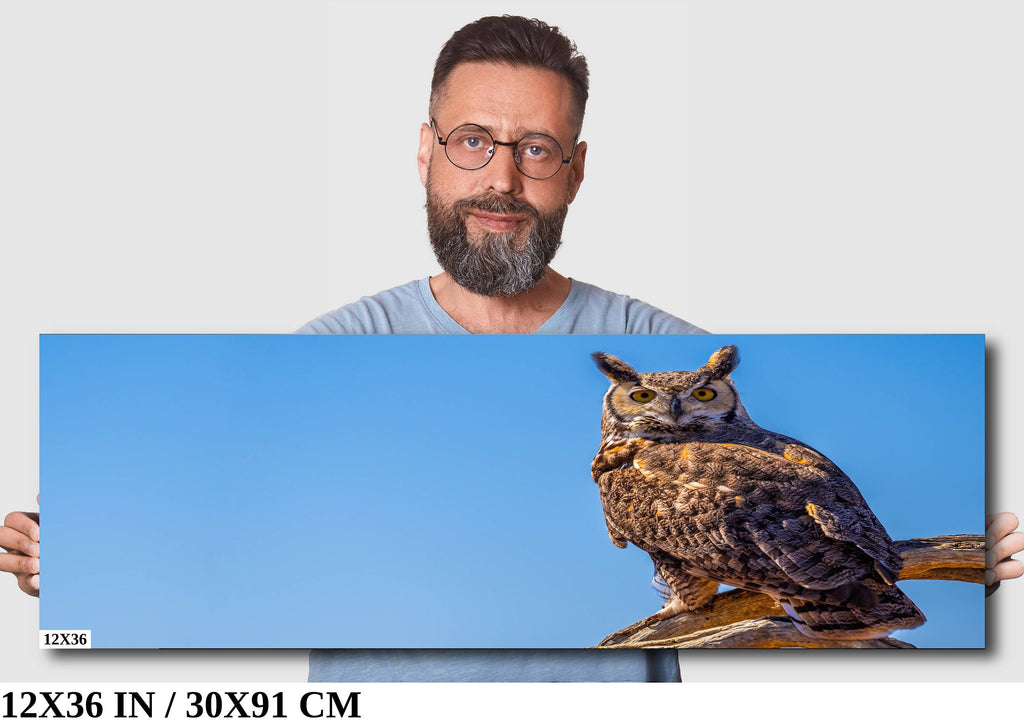 Twilight Guardian: Horned Owl On a Branch Wildlife Photography Wall Art Home Decor Metal Canvas Print