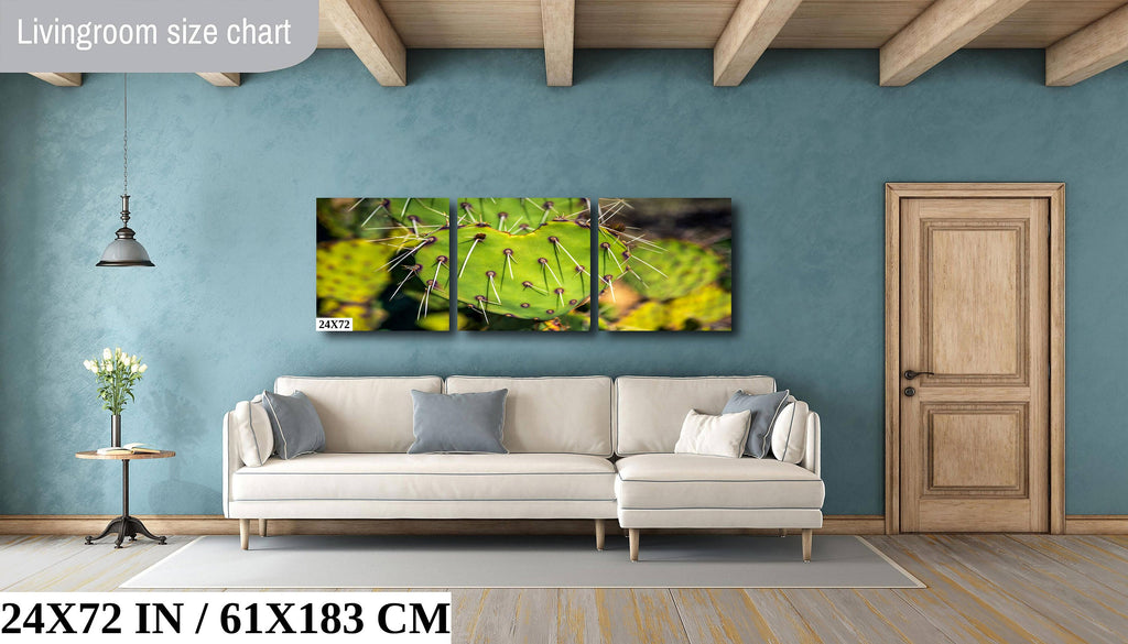 Heart Cactus: Saguaro National Park Southwestern Photography Wall Art