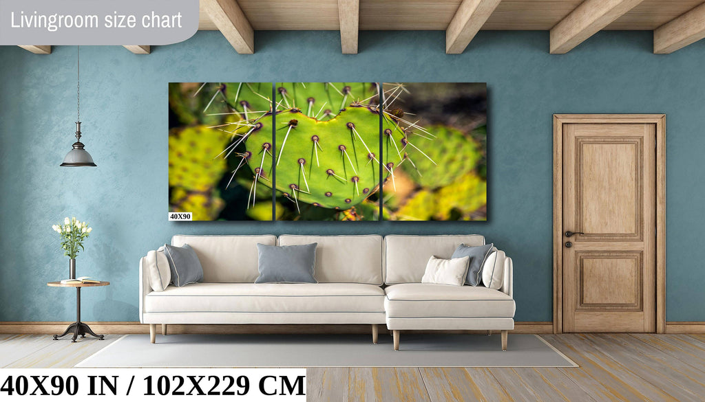 Heart Cactus: Saguaro National Park Southwestern Photography Wall Art