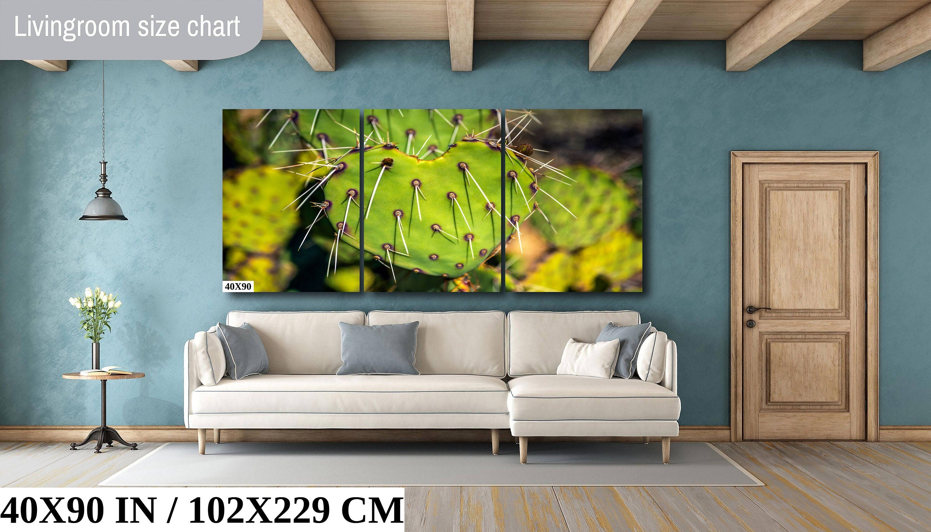 Heart Cactus: Saguaro National Park Southwestern Photography Wall Art