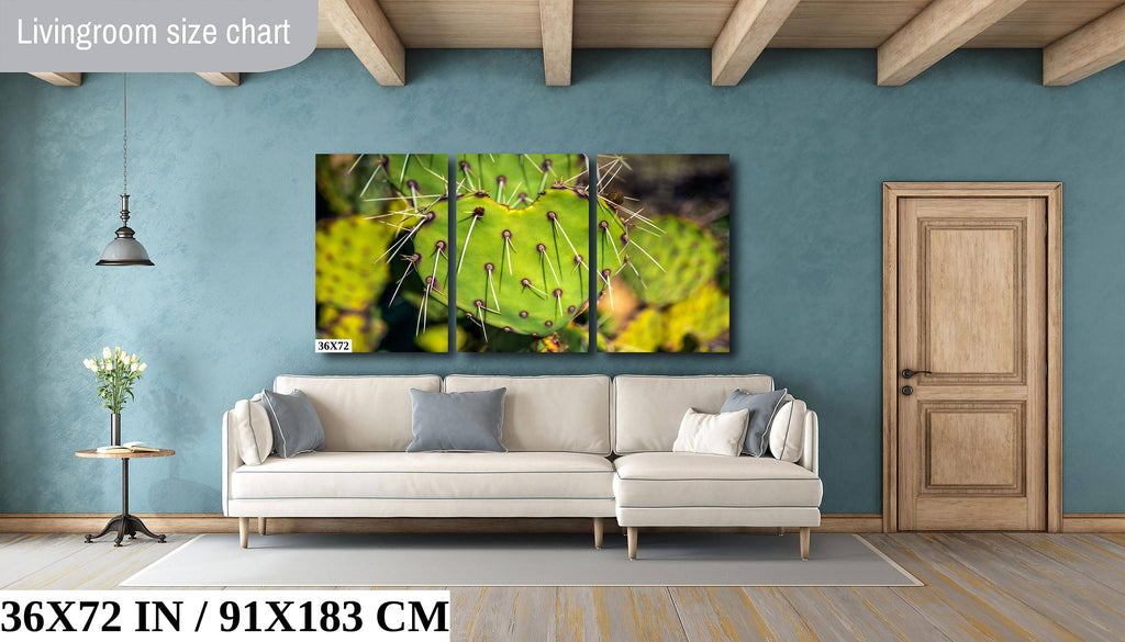 Heart Cactus: Saguaro National Park Southwestern Photography Wall Art