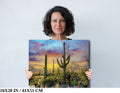 Sabino Canyon Saguaro Cactus Arizona Desert Nature Photography Wall Art