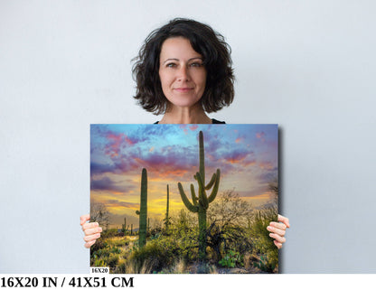 Sabino Canyon Saguaro Cactus Arizona Desert Nature Photography Wall Art