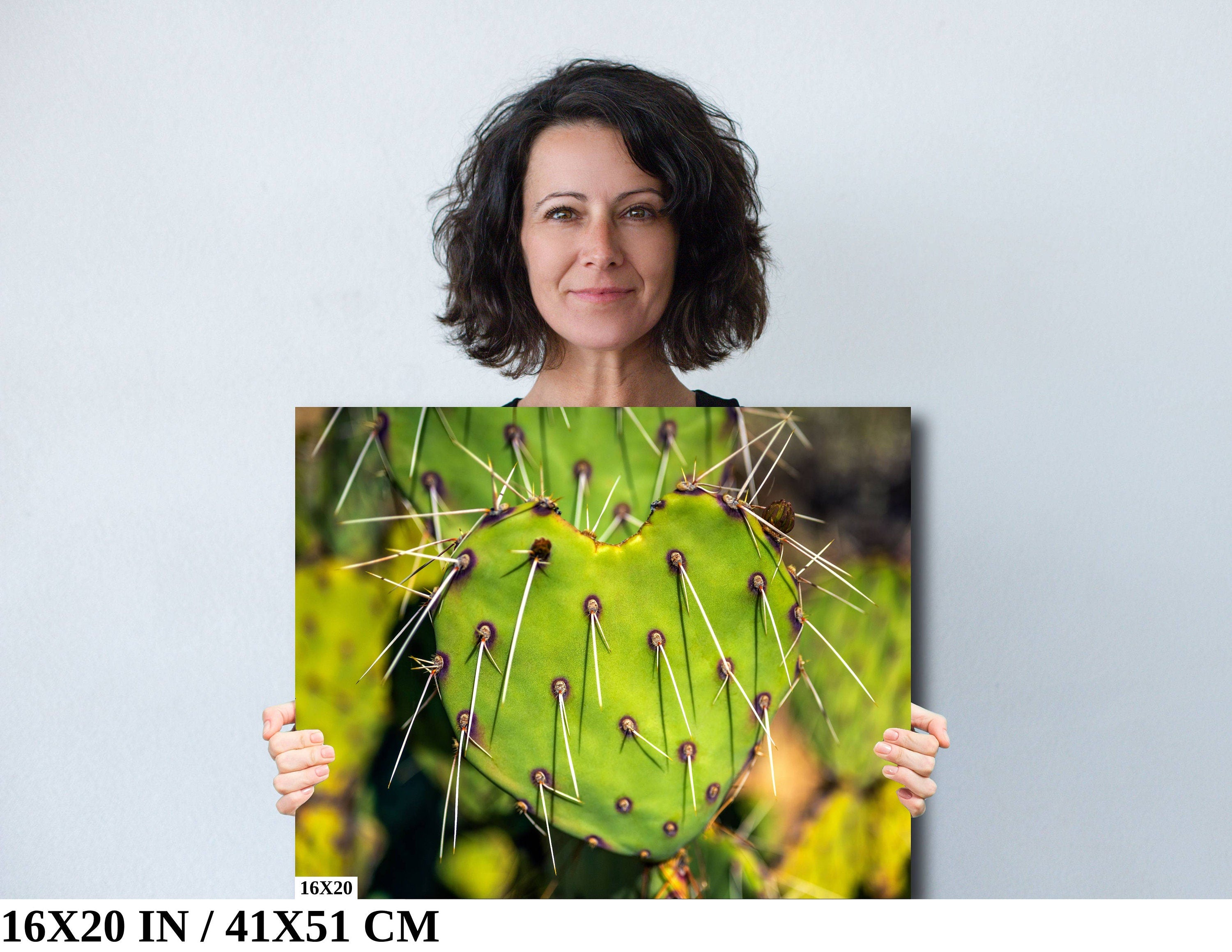 Heart Cactus: Saguaro National Park Southwestern Photography Wall Art
