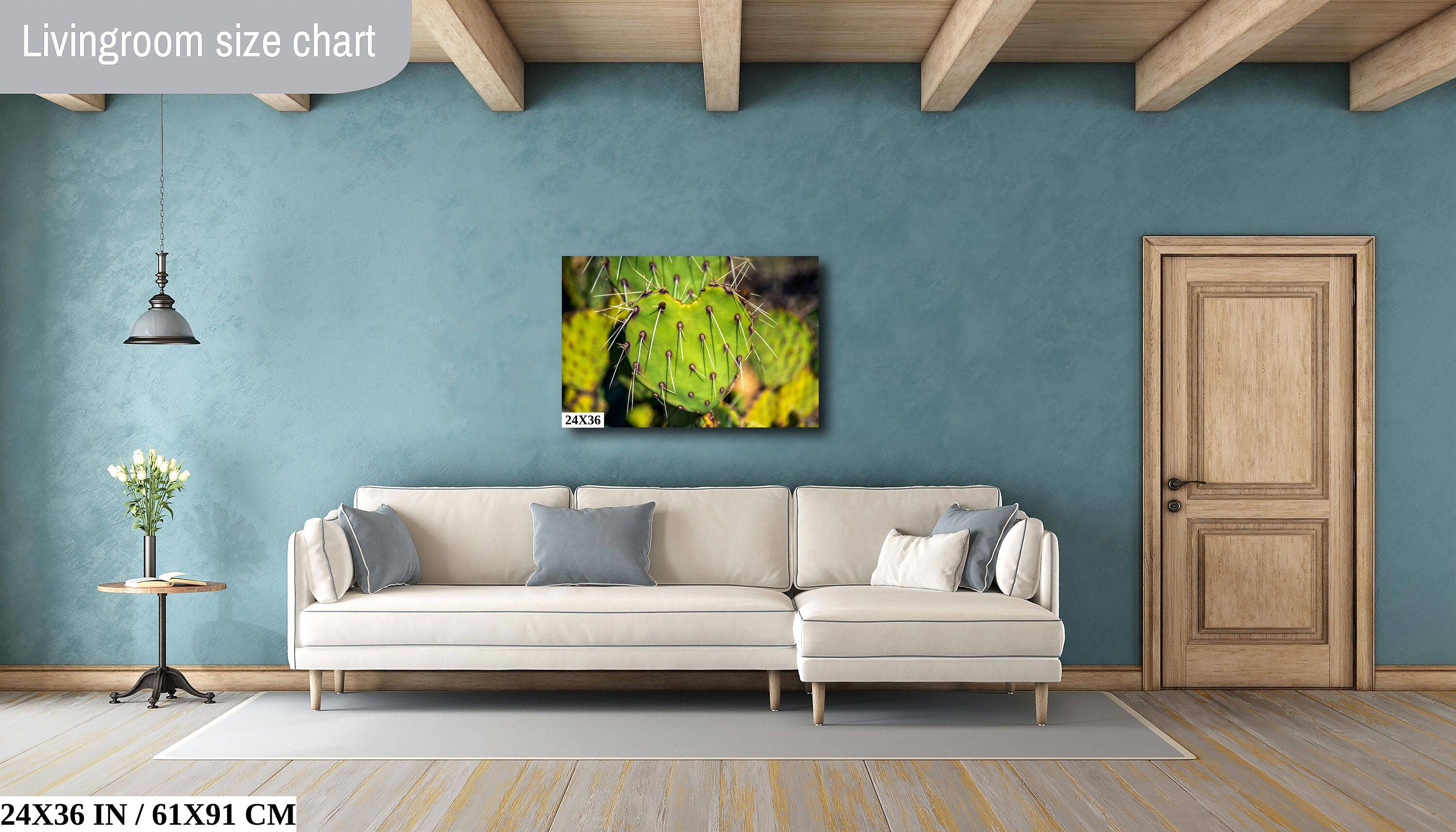 Heart Cactus: Saguaro National Park Southwestern Photography Wall Art