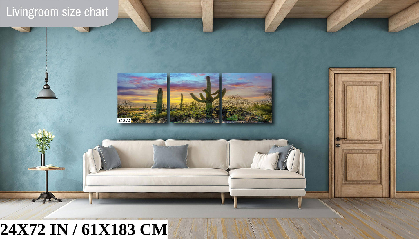 Sabino Canyon Saguaro Cactus Arizona Desert Nature Photography Wall Art