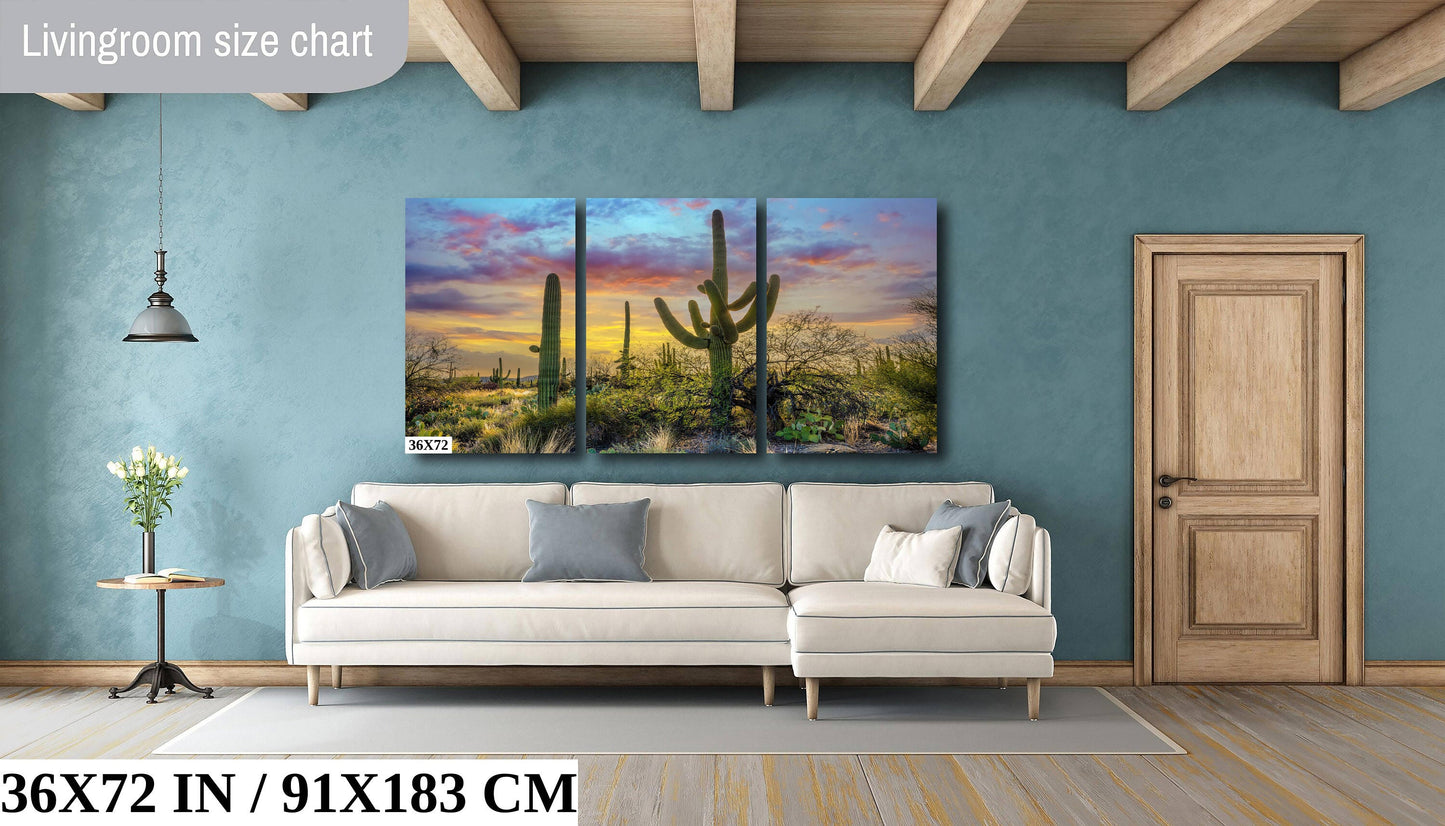 Sabino Canyon Saguaro Cactus Arizona Desert Nature Photography Wall Art