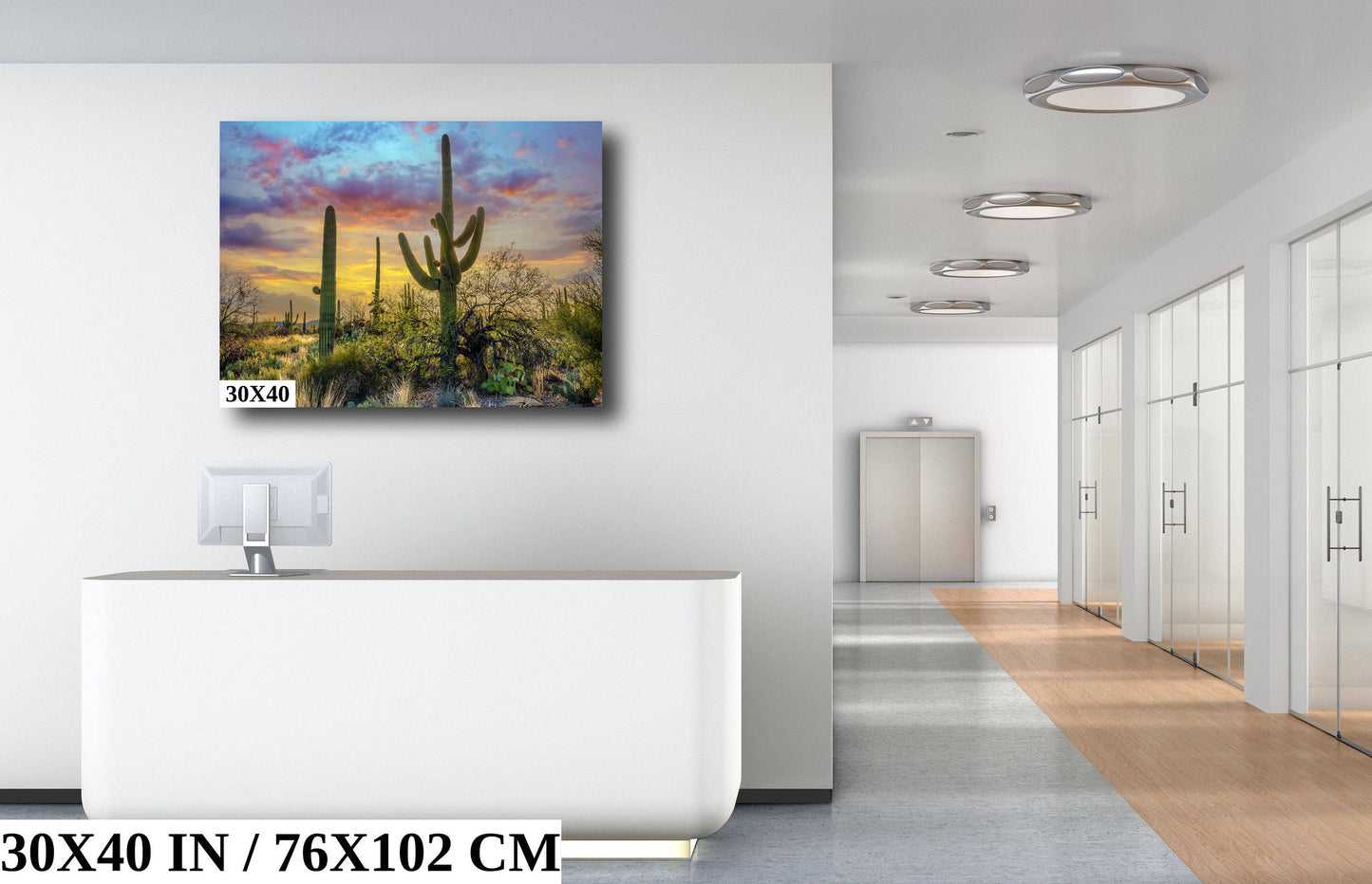 Sabino Canyon Saguaro Cactus Arizona Desert Nature Photography Wall Art