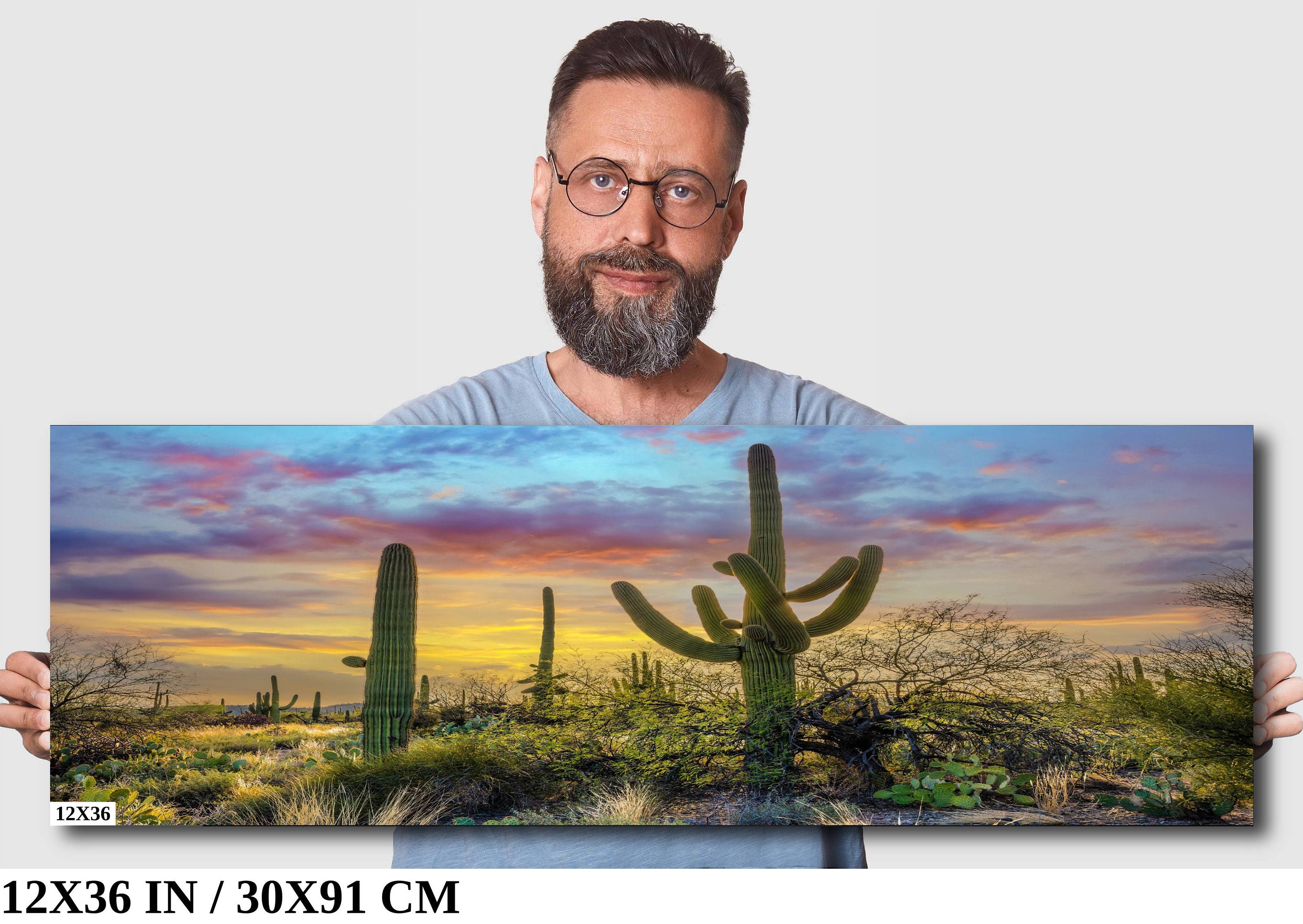 Sabino Canyon Saguaro Cactus Arizona Desert Nature Photography Wall Art