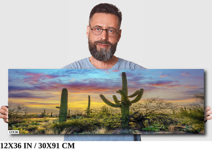 Sabino Canyon Saguaro Cactus Arizona Desert Nature Photography Wall Art