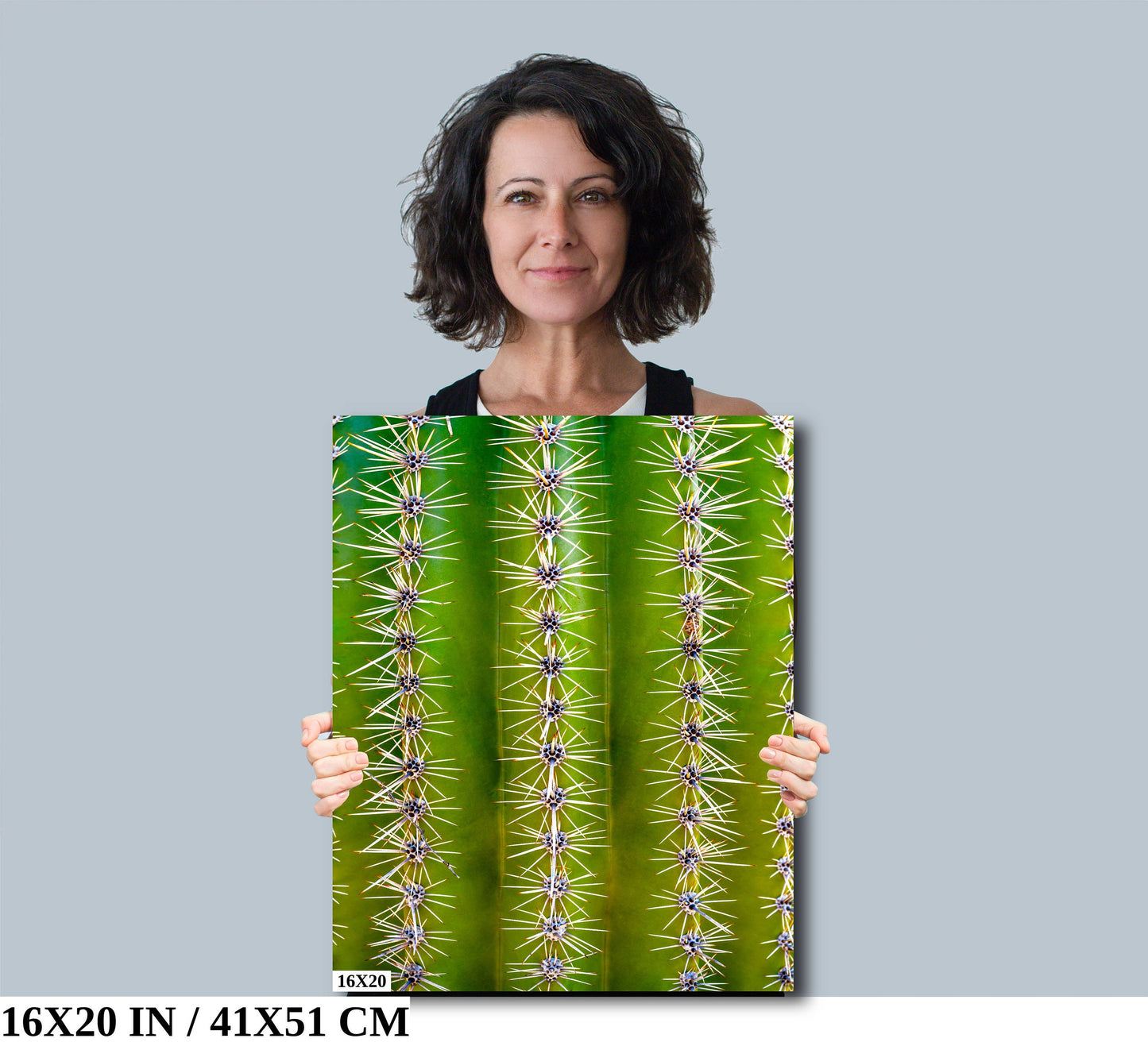 Saguaro Cactus Close-Up Sonoran Desert Photography Wall Art