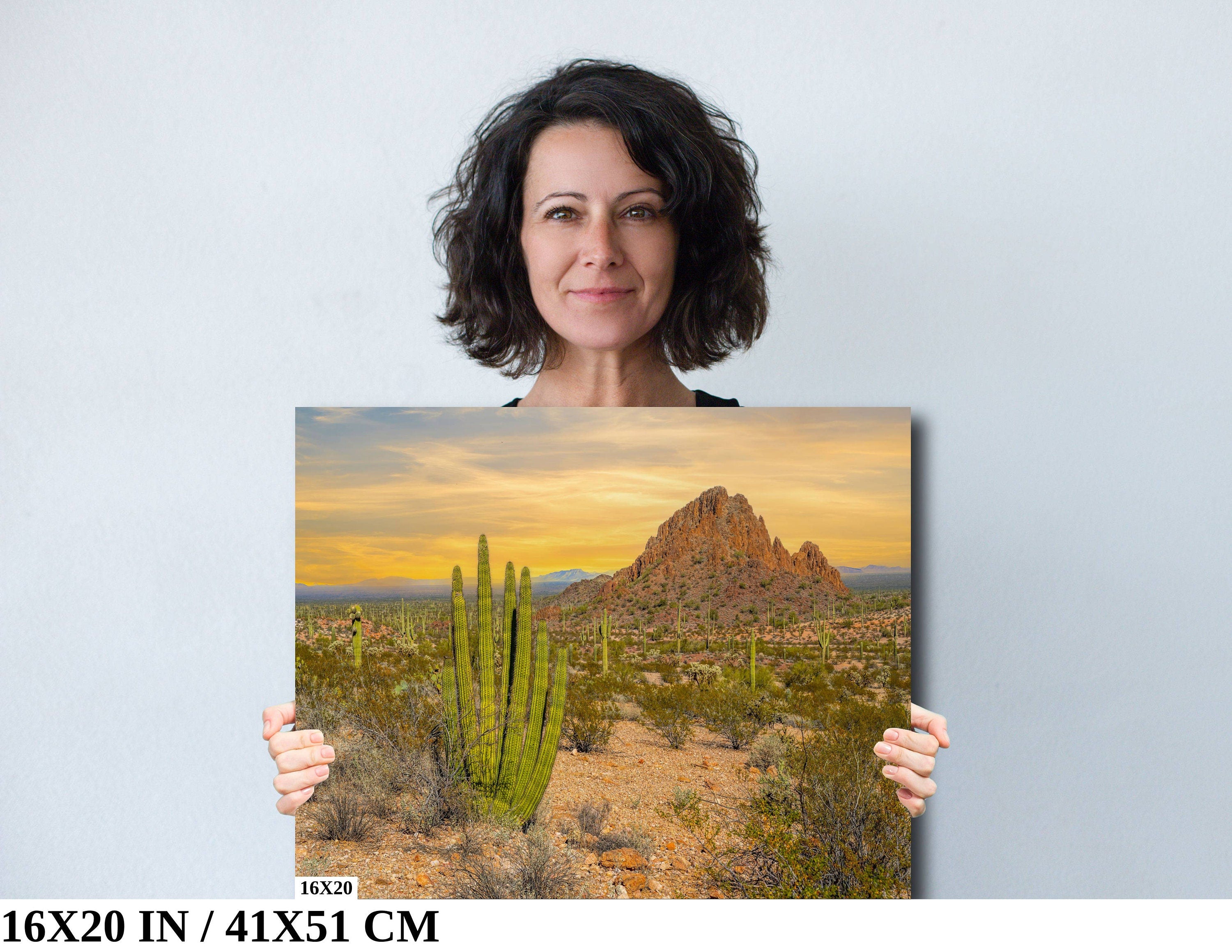 Spires of Resilience: Organ Pipe Cactus National Monument Arizona Photography Wall Art
