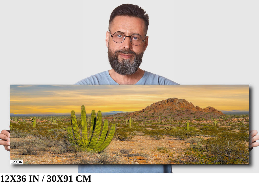 Spires of Resilience: Organ Pipe Cactus National Monument Arizona Photography Wall Art