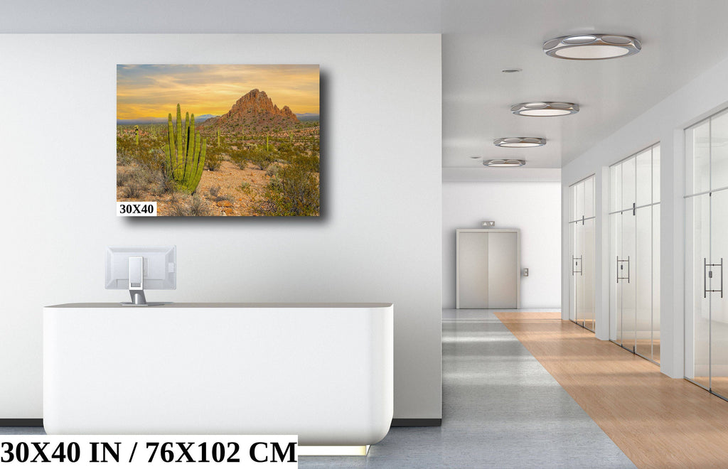 Spires of Resilience: Organ Pipe Cactus National Monument Arizona Photography Wall Art