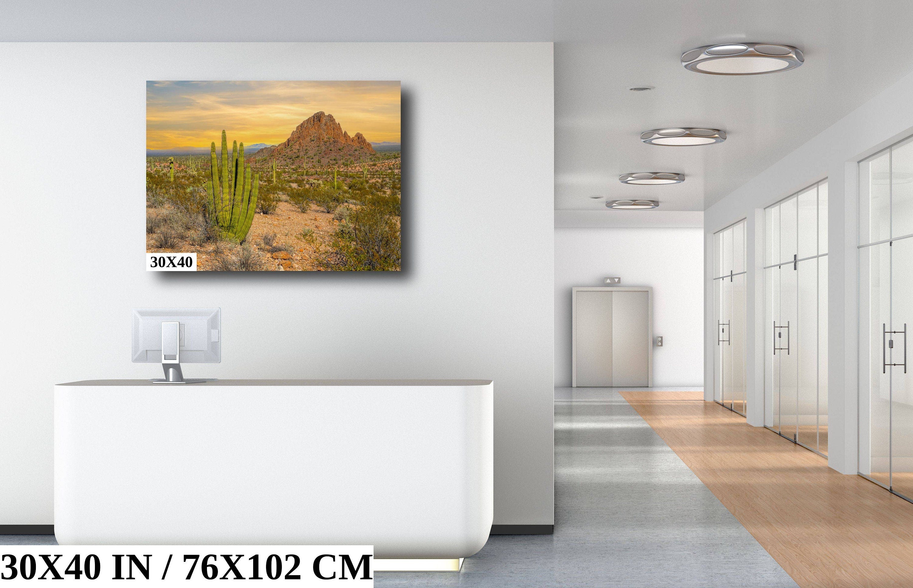 Spires of Resilience: Organ Pipe Cactus National Monument Arizona Photography Wall Art