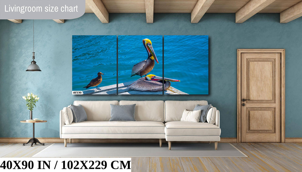 Ocean's Acrobats: Brown Pelican Wall Art Oceanside Photography Colorful Birds Canvas Print