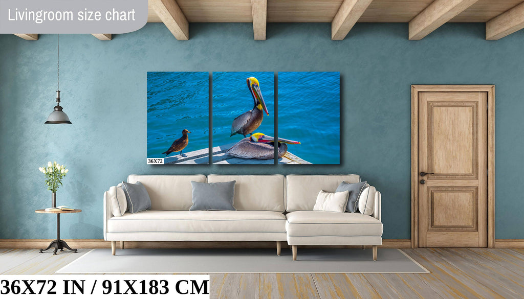 Ocean's Acrobats: Brown Pelican Wall Art Oceanside Photography Colorful Birds Canvas Print