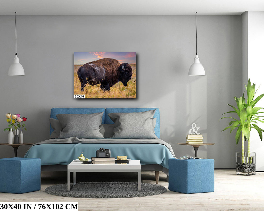 Bison Canvas Print: Antelope Island State Park Wildlife Photography