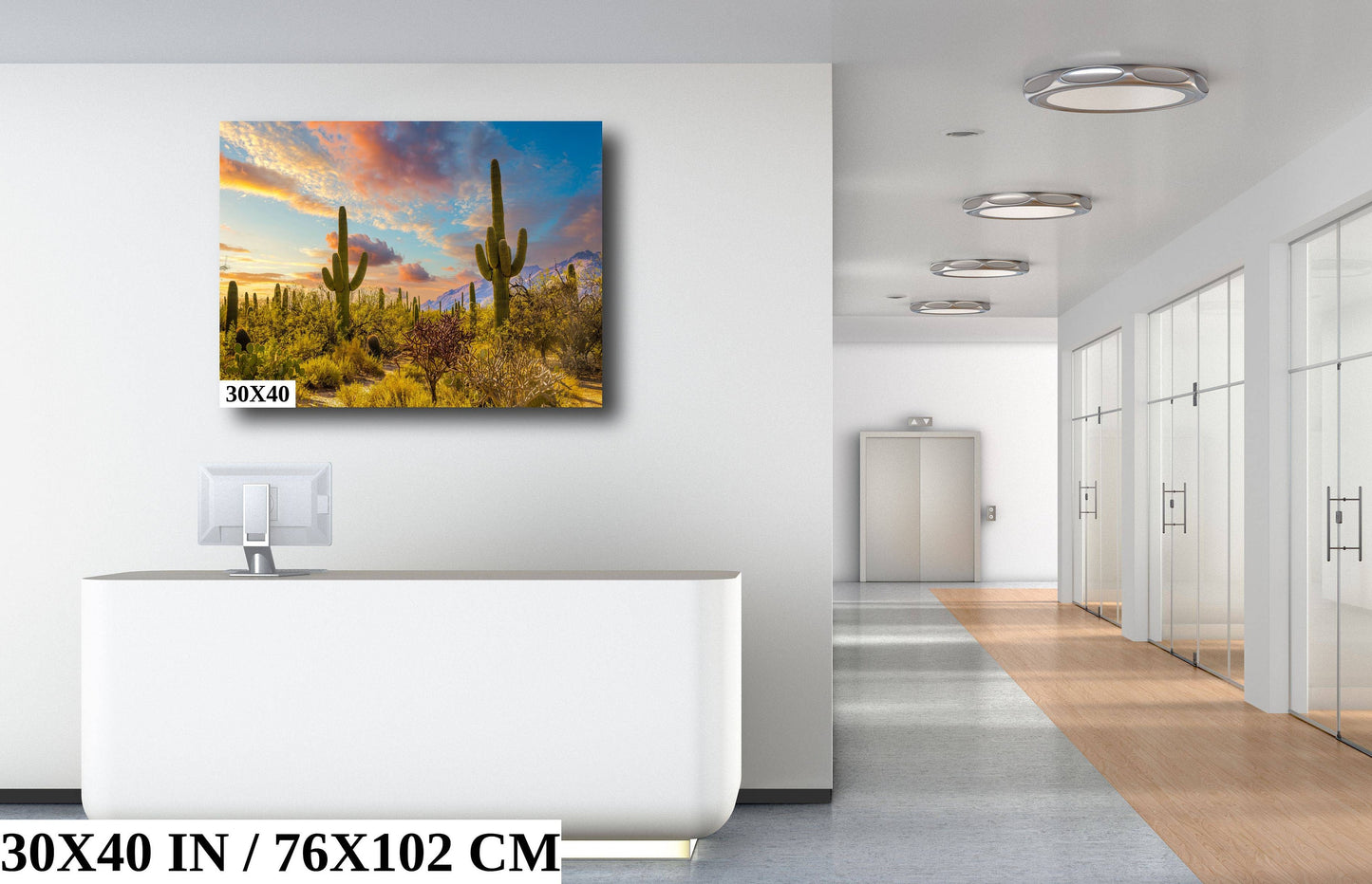 Sabino Canyon Cactus Sunset: Tucson Arizona Desert Photography Wall Art