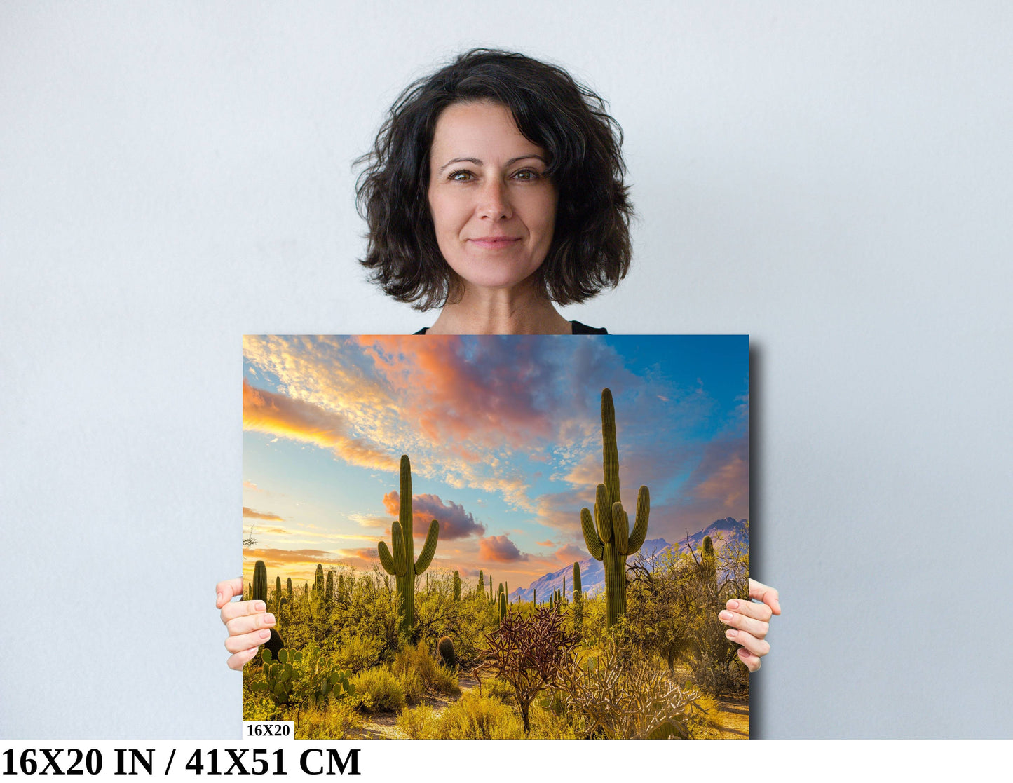 Sabino Canyon Cactus Sunset: Tucson Arizona Desert Photography Wall Art