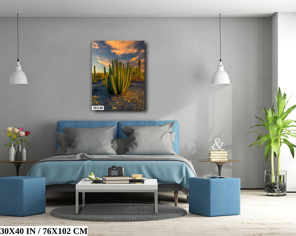 Serenade of Spines: Organ Pipe Cactus National Monument Desert Sanctuary Wall Art Photography