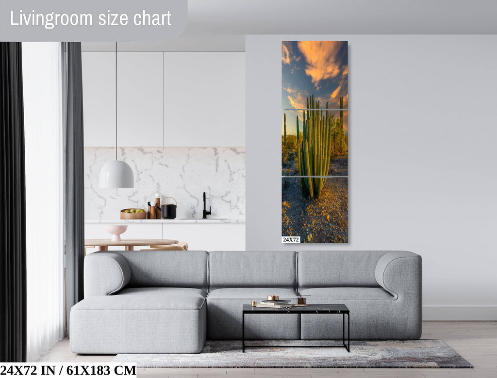 Serenade of Spines: Organ Pipe Cactus National Monument Desert Sanctuary Wall Art Photography