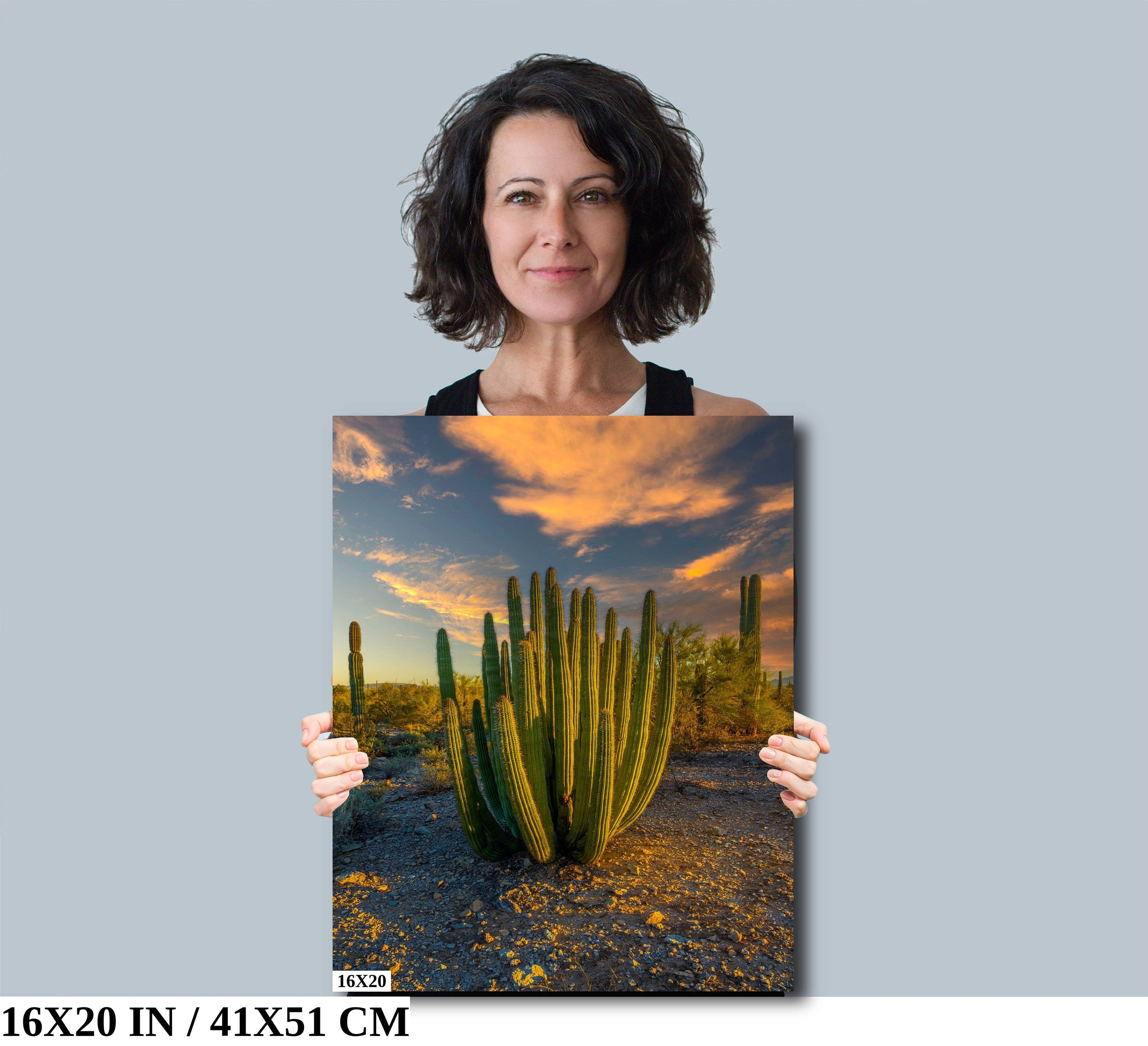 Serenade of Spines: Organ Pipe Cactus National Monument Desert Sanctuary Wall Art Photography