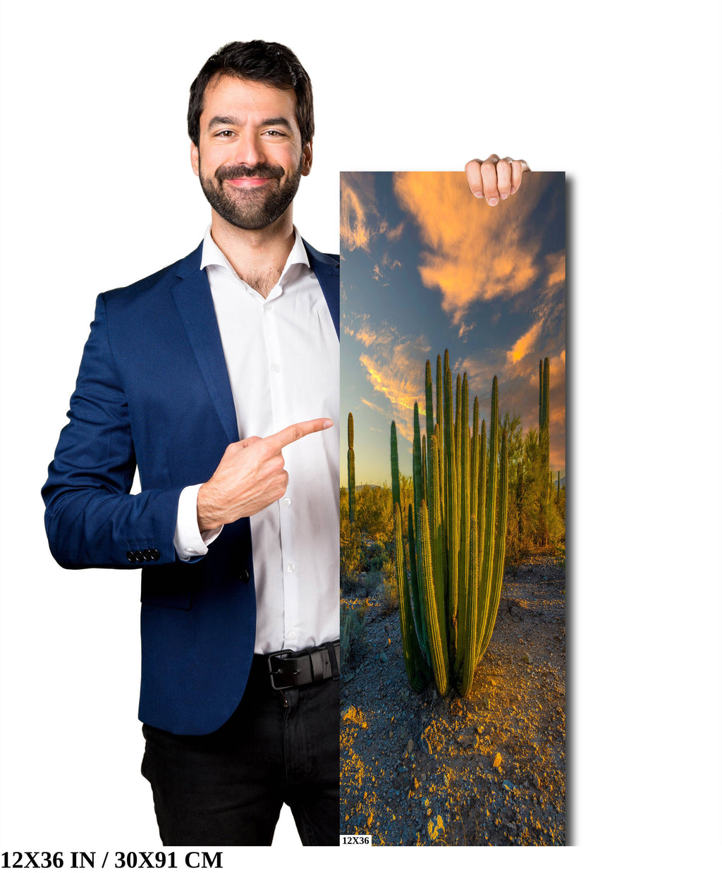 Serenade of Spines: Organ Pipe Cactus National Monument Desert Sanctuary Wall Art Photography