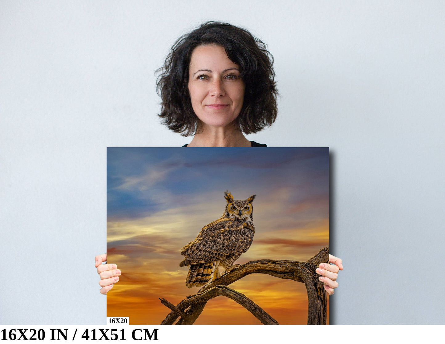 Silent Vigil: Great Horned Owl On a Branch Photography Painted Sky Canvas Print Bird Metal Wall Art