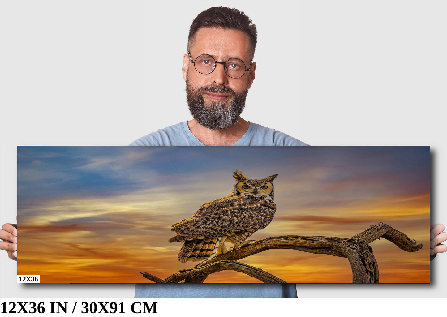 Silent Vigil: Great Horned Owl On a Branch Photography Painted Sky Canvas Print Bird Metal Wall Art