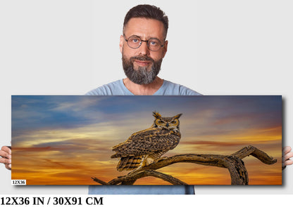 Silent Vigil: Great Horned Owl On a Branch Photography Painted Sky Canvas Print Bird Metal Wall Art