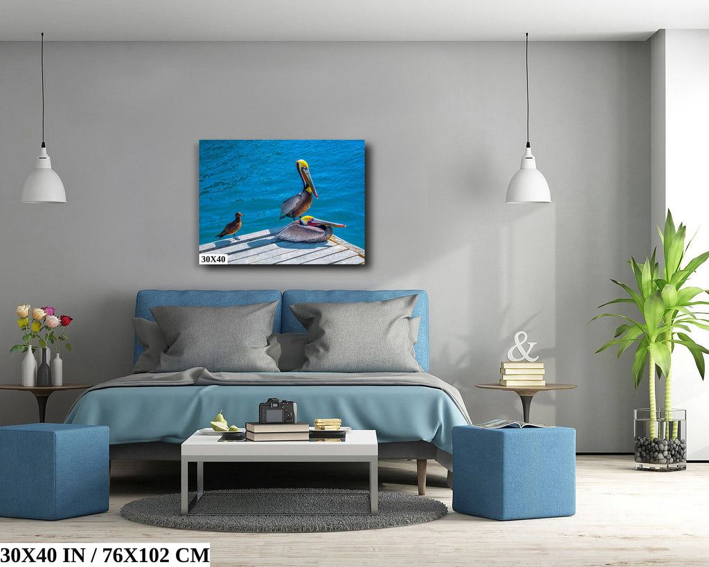 Ocean's Acrobats: Brown Pelican Wall Art Oceanside Photography Colorful Birds Canvas Print