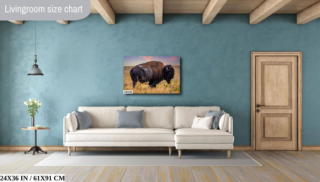Bison Canvas Print: Antelope Island State Park Wildlife Photography